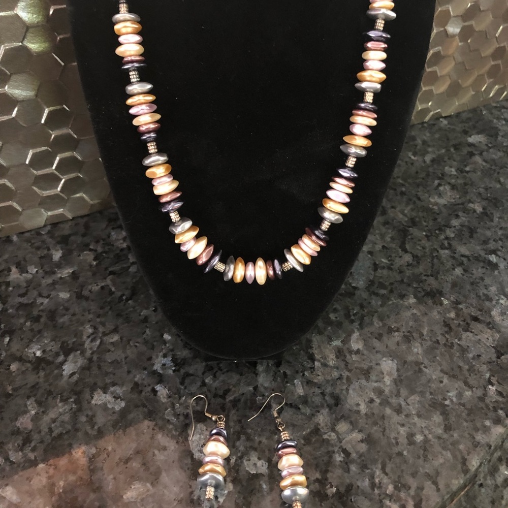 NWOT Natural Stone or Shell  Necklace and Earrings